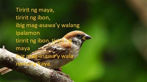 BUNDAT: Definition of the Tagalog word bundat in English..